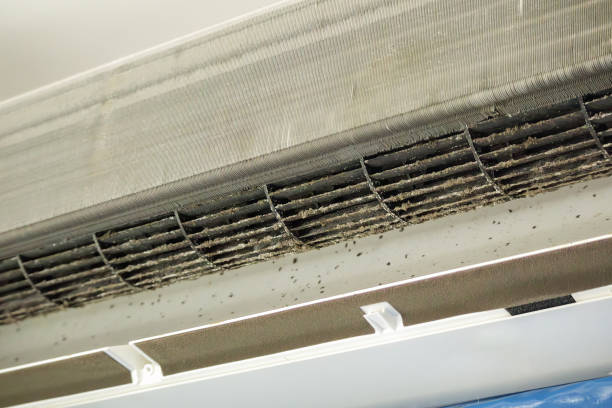 Best Commercial Air Duct Cleaning  in Picayune, MS